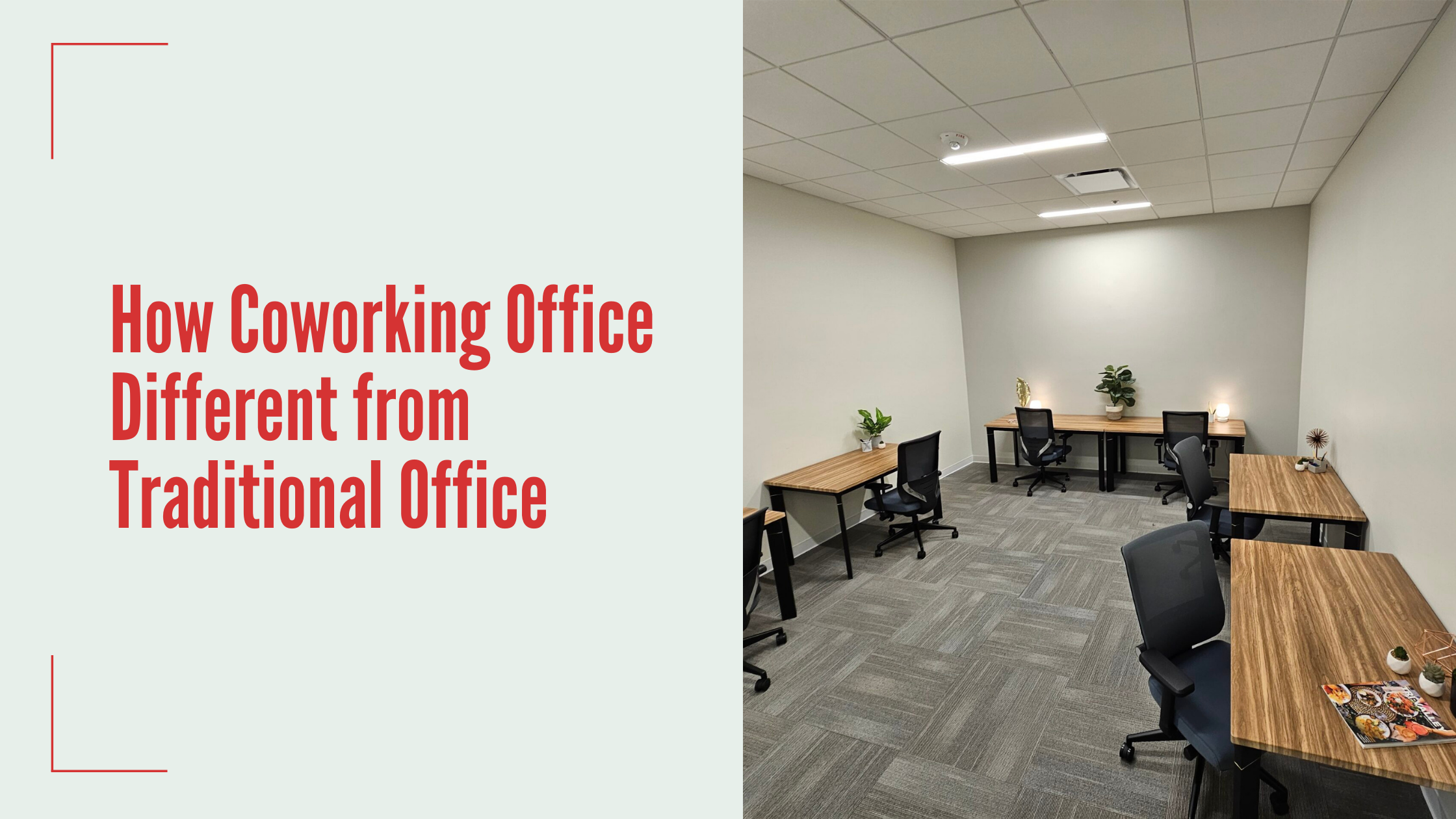 How Coworking Office Different from Traditional Office